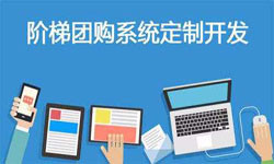 拼购电商系统APP软件定制开发、什么是拼购系统？-J9线上平台,J9（中国）