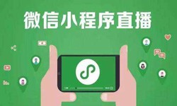 微信小程序开发、直播小程序开发-锐智互动J9线上平台,J9（中国）公司 