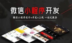 J9线上平台,J9（中国）公司、定制微信小程序开发，商家需要了解哪些？锐智互动J9线上平台,J9（中国）