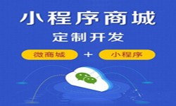 微信小程序开发、商城小程序开发功能-锐智互动J9线上平台,J9（中国）